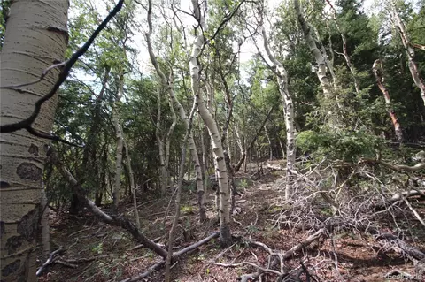 lot6573 Ackerman Rd, San Luis, CO 81152 photo 5