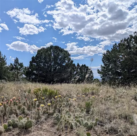 3213 Enchanted Ct, Crestone, CO 81131 photo 10