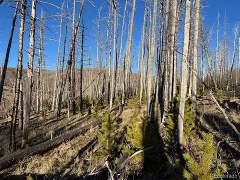 lot1502 Vonheyl Ln, Fort Garland, CO 81133