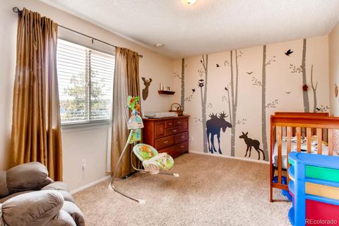 8748 Carr Loop, Westminster, CO 80005 photo 21