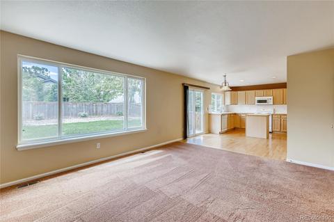 7050 Leopard Dr, Lone Tree, CO 80124 photo 16