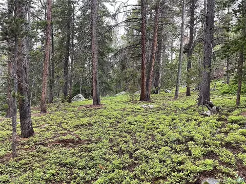 000 Steuart Rd, Idaho Springs, CO 80452