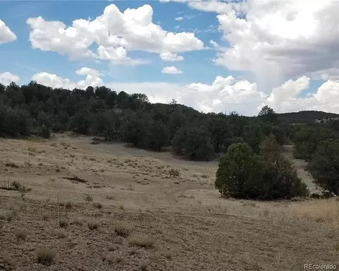 000 Troublesome Trl, Cotopaxi, CO 81223