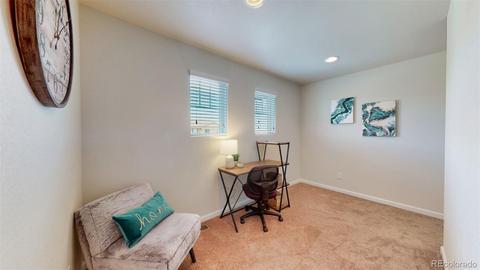 4252 E 95th Cir, Thornton, CO 80229 photo 31