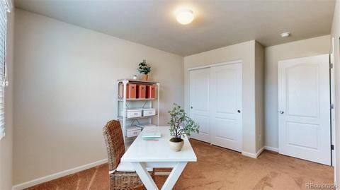 4252 E 95th Cir, Thornton, CO 80229 photo 33