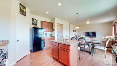 4252 E 95th Cir, Thornton, CO 80229 photo 15