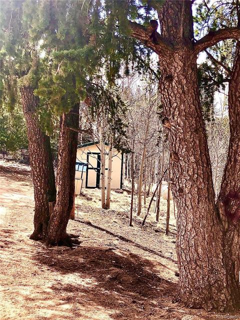 503 Buffalo Ridge Rd, Como, CO 80432 photo 9