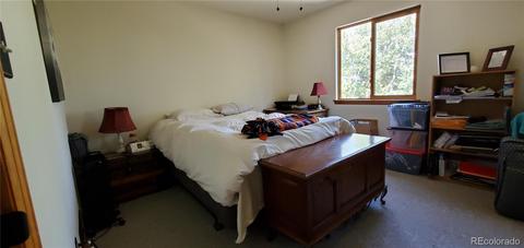 928 S Pine Dr, Bailey, CO 80421 photo 13
