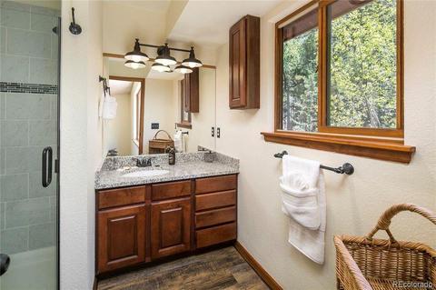 928 S Pine Dr, Bailey, CO 80421 photo 10