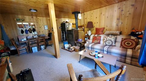 928 S Pine Dr, Bailey, CO 80421 photo 19