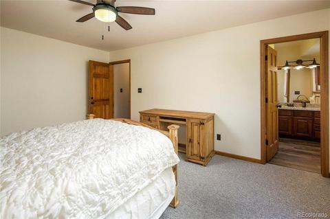 928 S Pine Dr, Bailey, CO 80421 photo 9