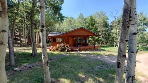 928 S Pine Dr, Bailey, CO 80421 photo 2