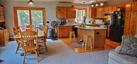 928 S Pine Dr, Bailey, CO 80421 photo 7