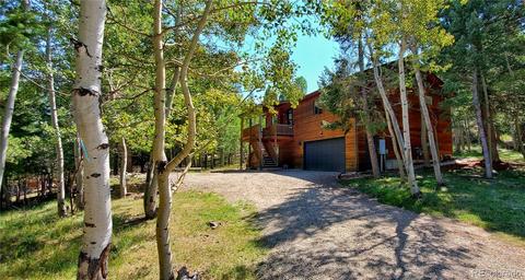 928 S Pine Dr, Bailey, CO 80421 photo 1