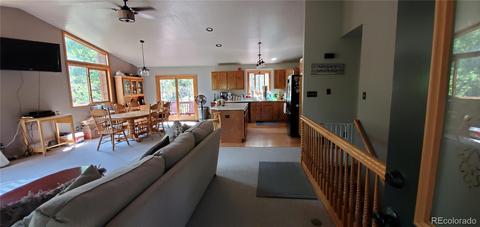 928 S Pine Dr, Bailey, CO 80421 photo 6