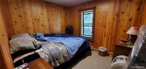 928 S Pine Dr, Bailey, CO 80421 photo 22