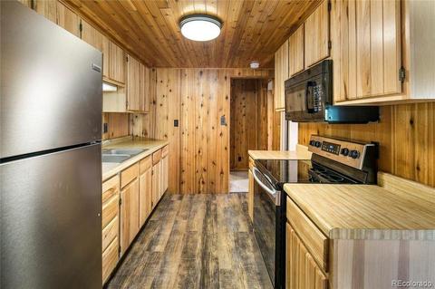 928 S Pine Dr, Bailey, CO 80421 photo 20