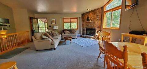 928 S Pine Dr, Bailey, CO 80421 photo 5