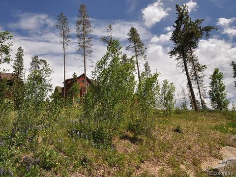 100 Campfire Ln, Fraser, CO 80442 photo 23