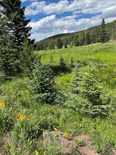 lot3091 Sterenson Pl, Fort Garland, CO 81133