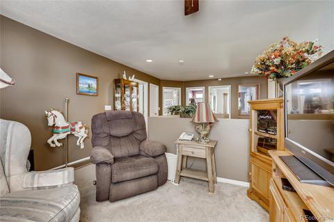 21597 E 53rd Pl, Denver, CO 80249 photo 25