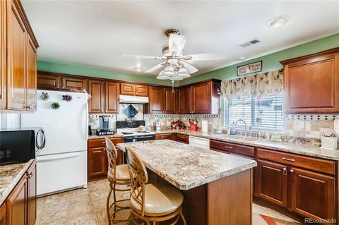 21597 E 53rd Pl, Denver, CO 80249 photo 9