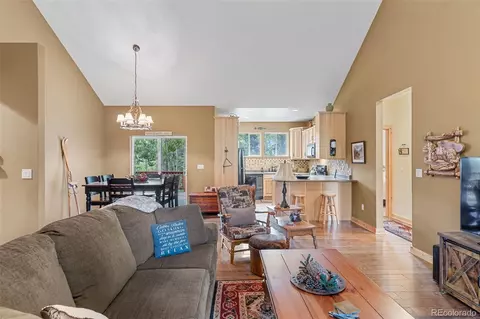 Living - 1224 Circle 73, Fairplay, CO 80440 photo 4 of 5
