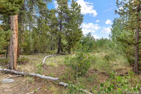 Other - 1224 Circle 73, Fairplay, CO 80440 photo 11 of 11