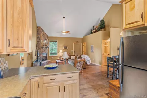 Other - 1224 Circle 73, Fairplay, CO 80440 photo 4 of 11