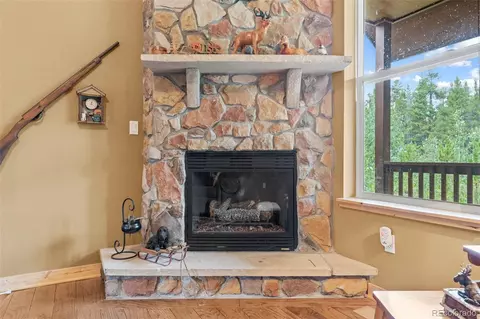 Other - 1224 Circle 73, Fairplay, CO 80440 photo 3 of 11