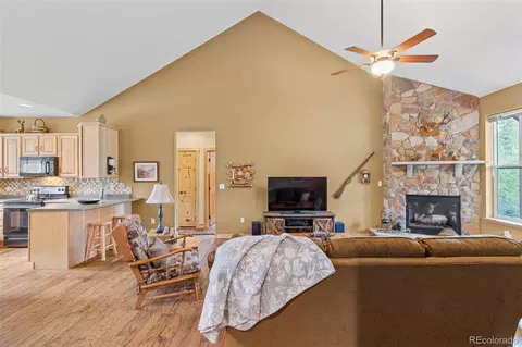 Living - 1224 Circle 73, Fairplay, CO 80440 photo 5 of 5