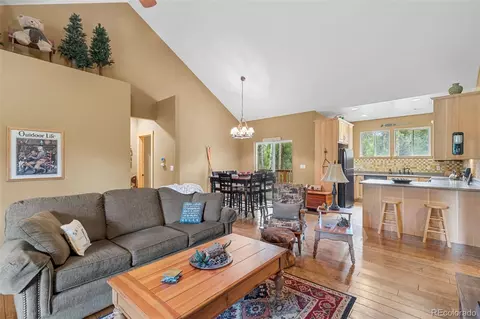 Living - 1224 Circle 73, Fairplay, CO 80440 photo 3 of 5