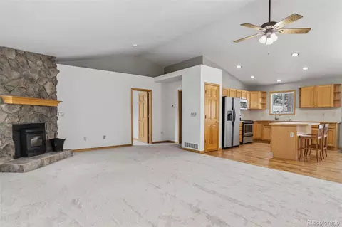541 Beaver Trl, Bailey, CO 80421 photo 11