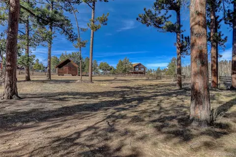 541 Beaver Trl, Bailey, CO 80421 photo 33