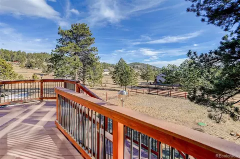 541 Beaver Trl, Bailey, CO 80421 photo 3