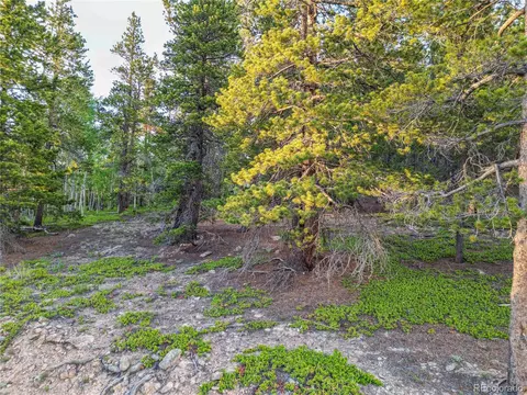 Coyote Circle, Black Hawk, CO 80422 photo 4