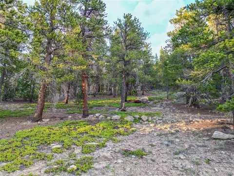 Coyote Circle, Black Hawk, CO 80422 photo 5