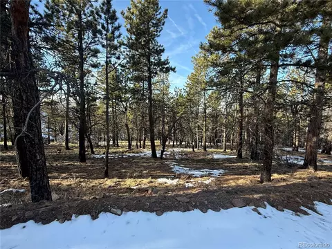 lot356 Spangle Dr, Fort Garland, CO 81133