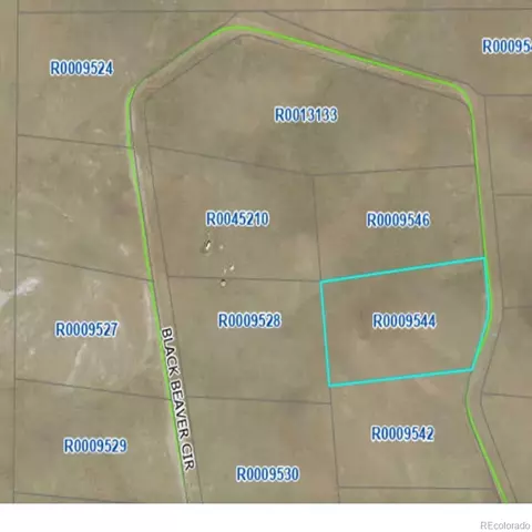 758 Black Beaver Cir, Hartsel, CO 80449