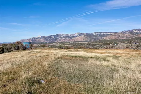 0 Tbd, Collbran, CO 81624 photo 19