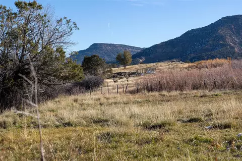 0 Tbd, Collbran, CO 81624 photo 11