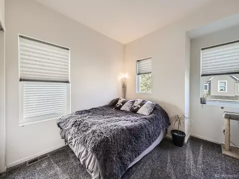 4635 Crestone Peak St, Brighton, CO 80601 photo 19