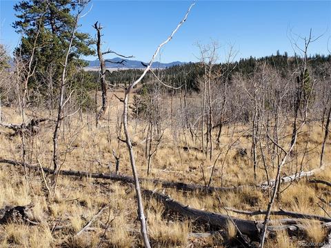 424 Loon Ln, Como, CO 80432 photo 11