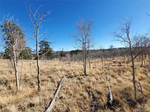 424 Loon Ln, Como, CO 80432 photo 4