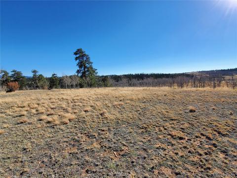 424 Loon Ln, Como, CO 80432 photo 18