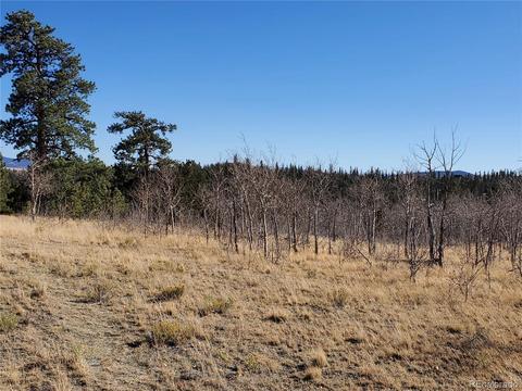 424 Loon Ln, Como, CO 80432 photo 14