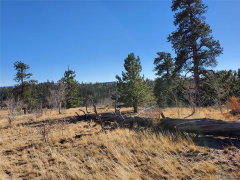 424 Loon Ln, Como, CO 80432 photo 20