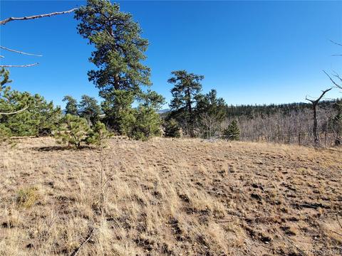 424 Loon Ln, Como, CO 80432 photo 1