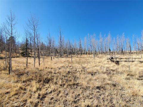 424 Loon Ln, Como, CO 80432 photo 22