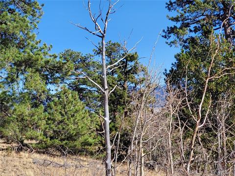 424 Loon Ln, Como, CO 80432 photo 9
